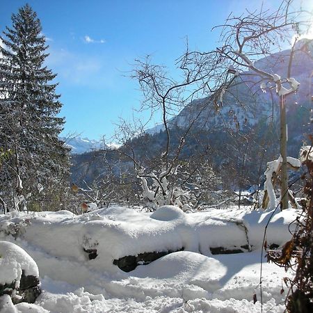 Dunkel Blaue Maus Bed & Breakfast Meiringen Exterior photo