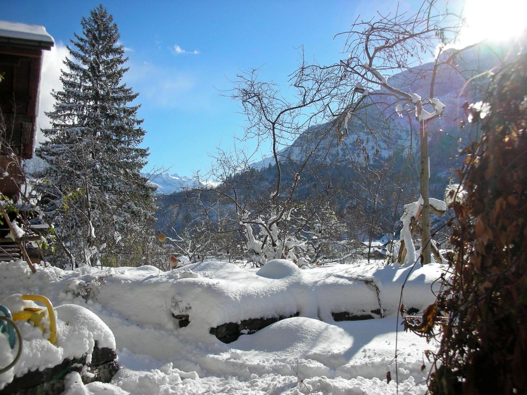 Dunkel Blaue Maus Bed & Breakfast Meiringen Exterior photo