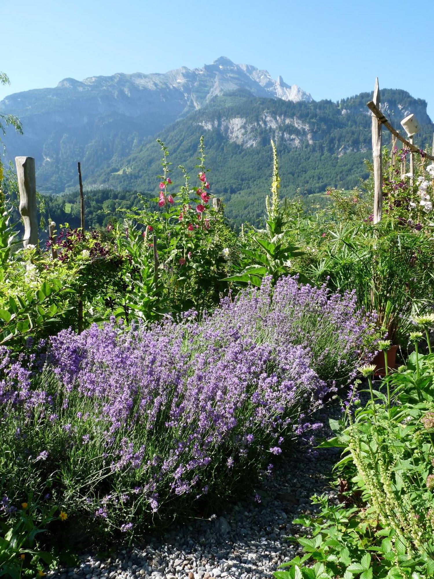 Dunkel Blaue Maus Bed & Breakfast Meiringen Exterior photo