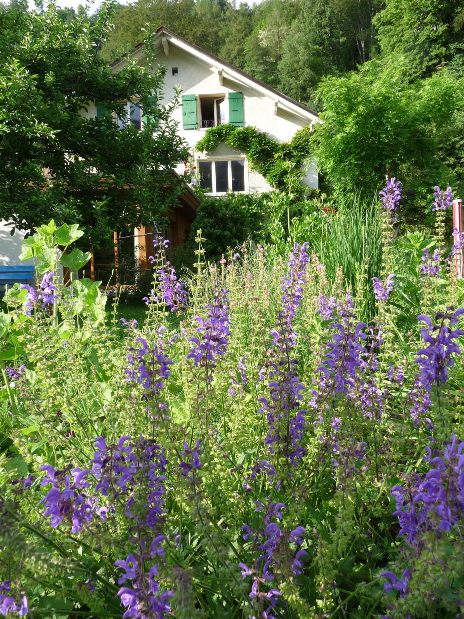 Dunkel Blaue Maus Bed & Breakfast Meiringen Exterior photo