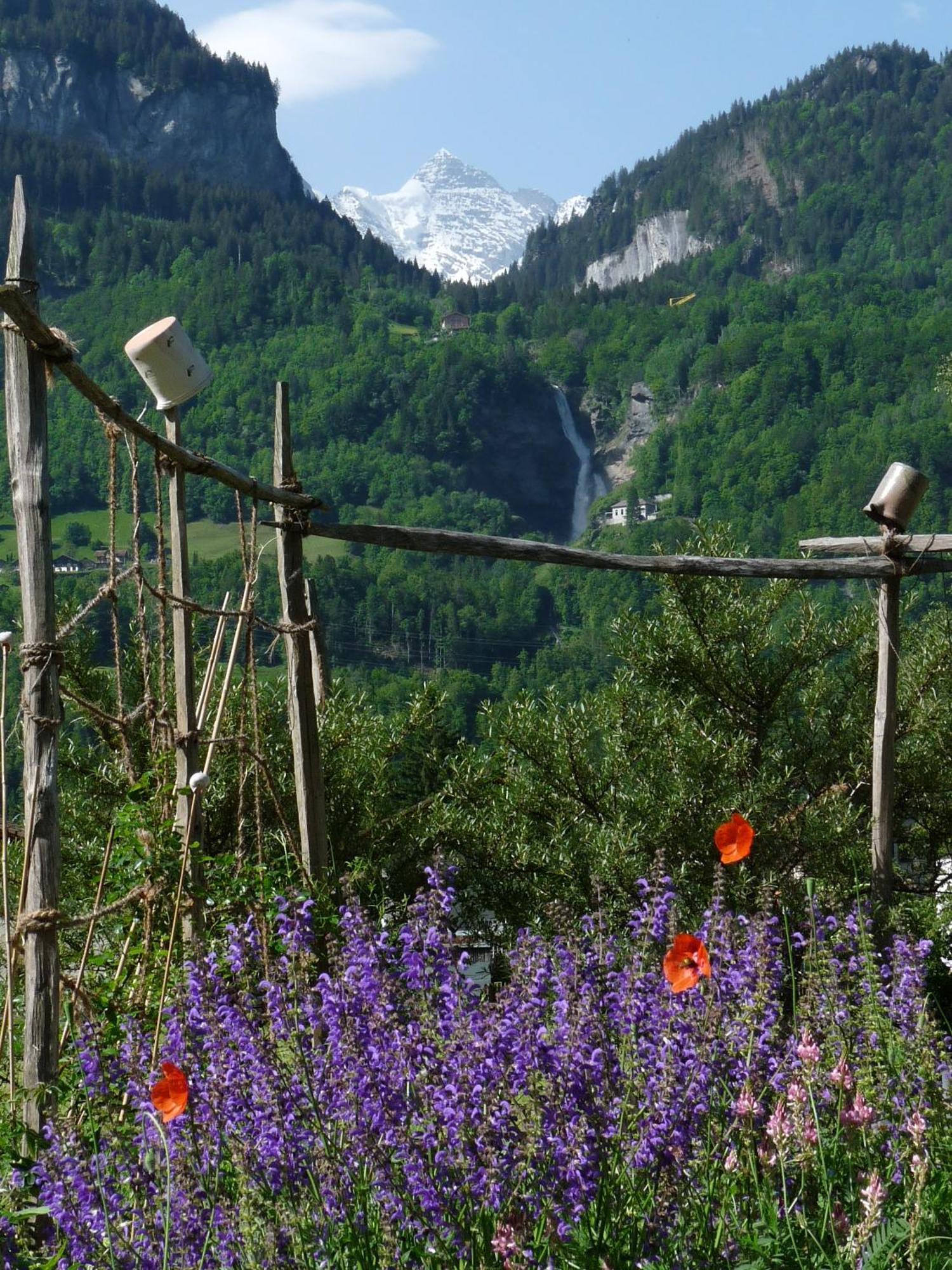 Dunkel Blaue Maus Bed & Breakfast Meiringen Exterior photo