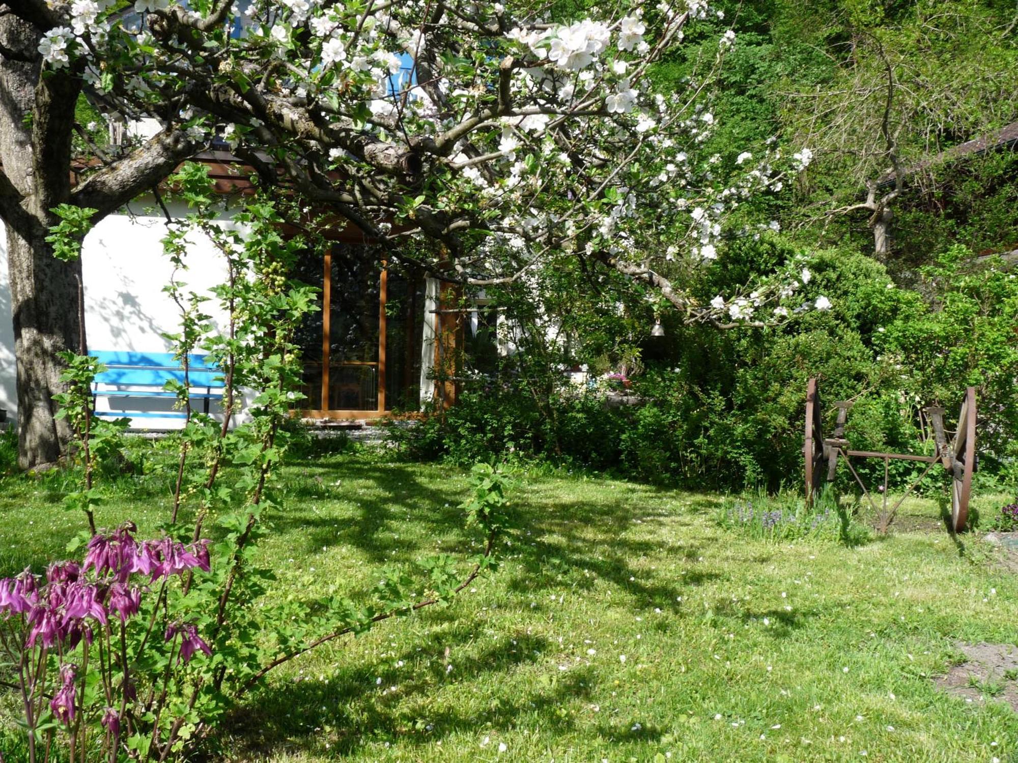 Dunkel Blaue Maus Bed & Breakfast Meiringen Exterior photo