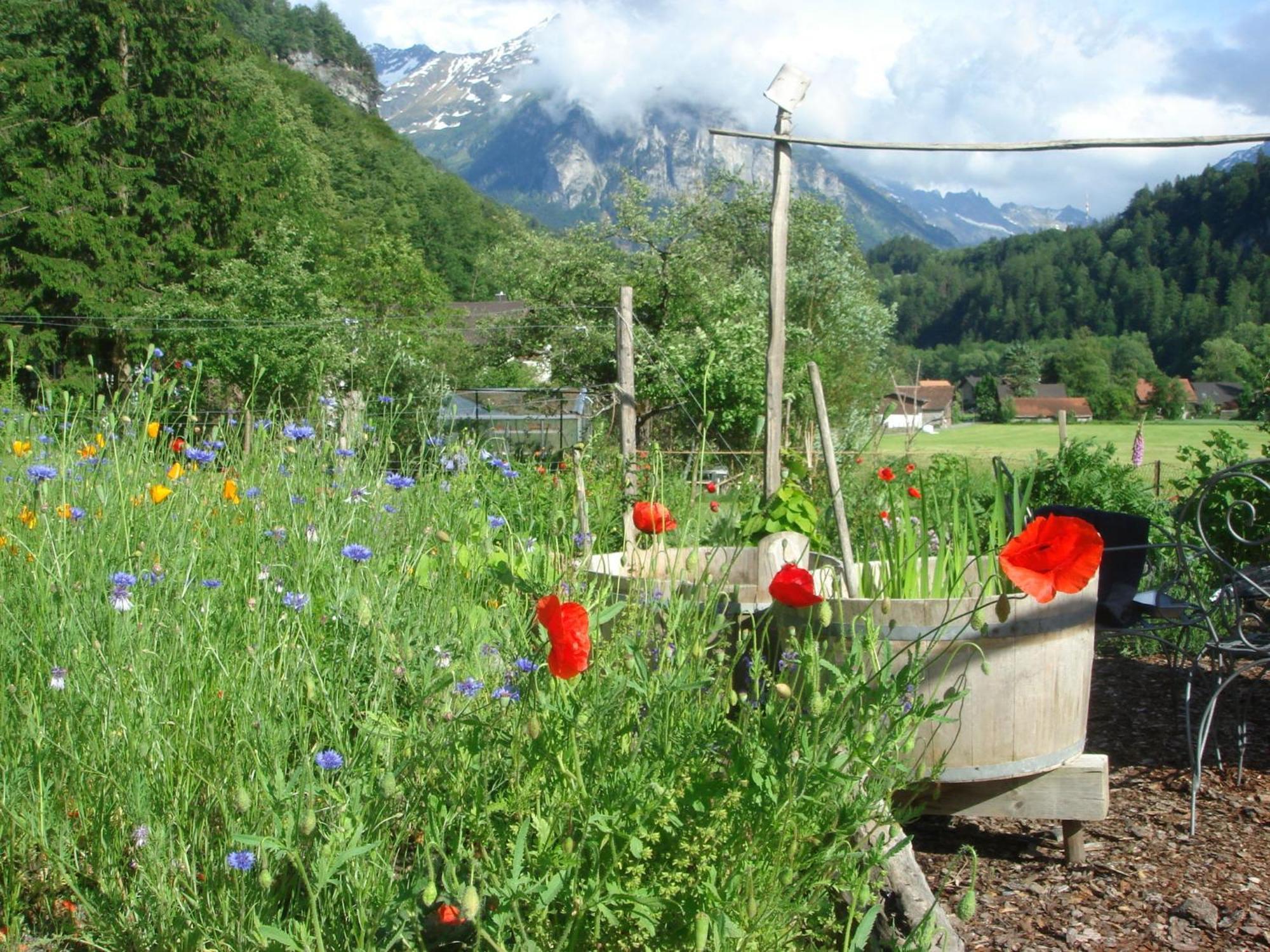 Dunkel Blaue Maus Bed & Breakfast Meiringen Exterior photo
