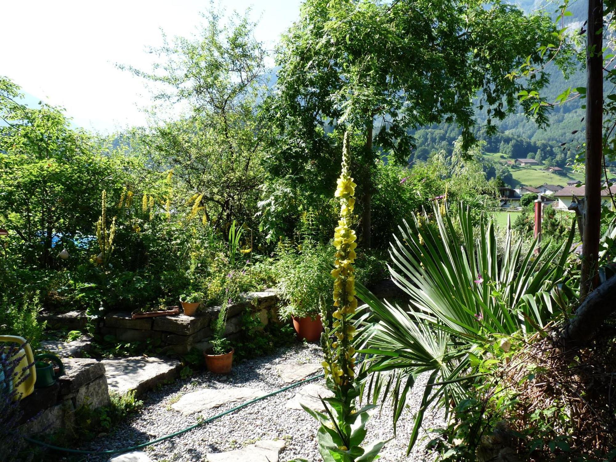 Dunkel Blaue Maus Bed & Breakfast Meiringen Exterior photo