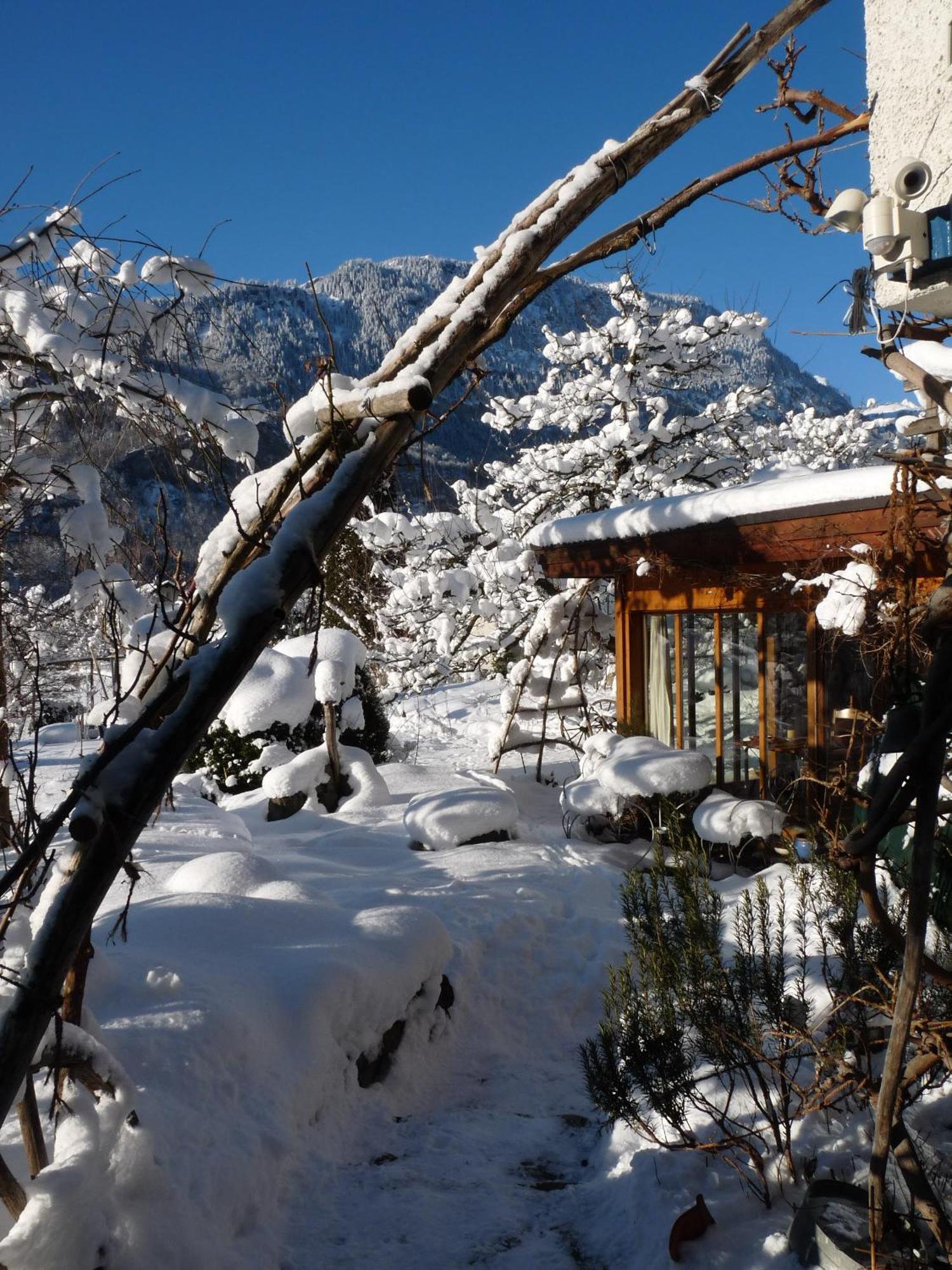 Dunkel Blaue Maus Bed & Breakfast Meiringen Exterior photo