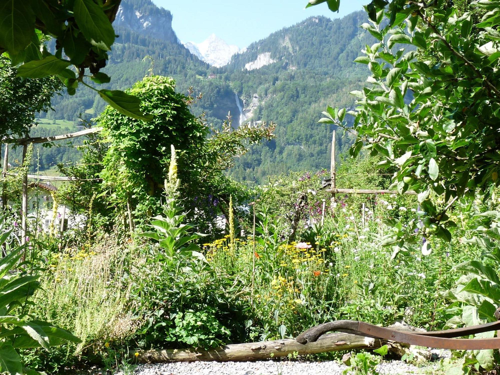 Dunkel Blaue Maus Bed & Breakfast Meiringen Exterior photo