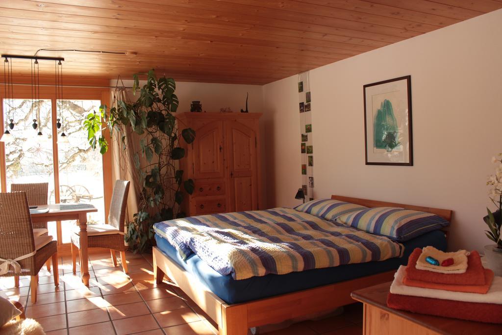 Dunkel Blaue Maus Bed & Breakfast Meiringen Exterior photo